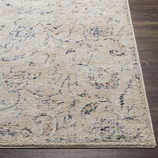 Surya Amore AMO-2305 2'6" x 8' Rug