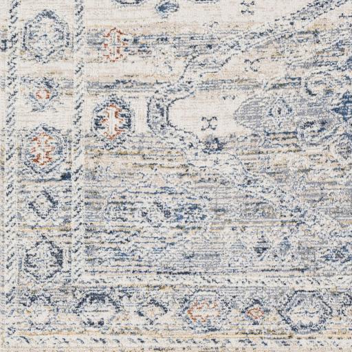 Surya Amore AMO-2309 7'10" Round Rug