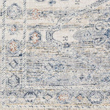 Surya Amore AMO-2309 7'10" Round Rug