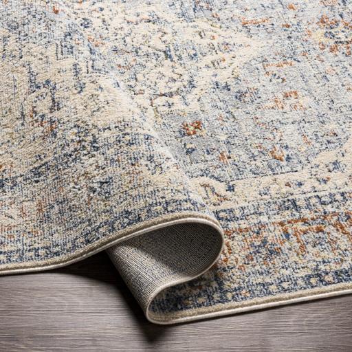 Surya Amore AMO-2312 2'6" x 10' Rug