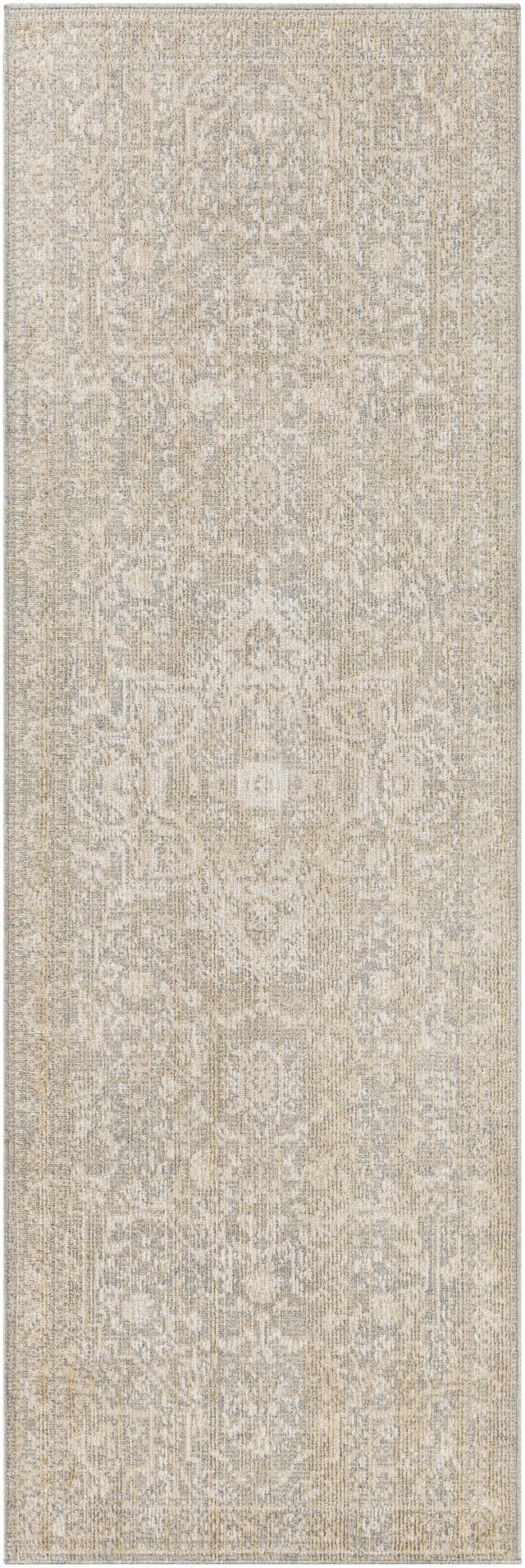Surya Amore AMO-2324 2' x 3' Rug