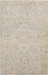 Surya Amore AMO-2324 2' x 3' Rug