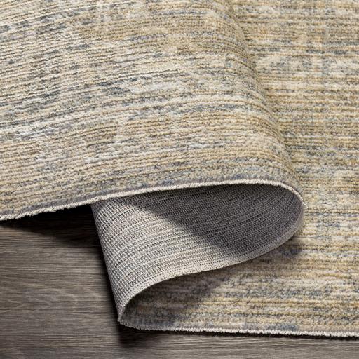 Surya Amore AMO-2324 2' x 3' Rug