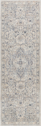 Surya Amore AMO-2325 2' x 3' Rug
