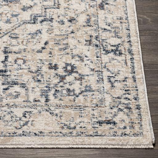 Surya Amore AMO-2325 2'3" x 3'9" Rug