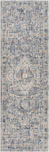 Surya Amore AMO-2326 2'3" x 3'9" Rug