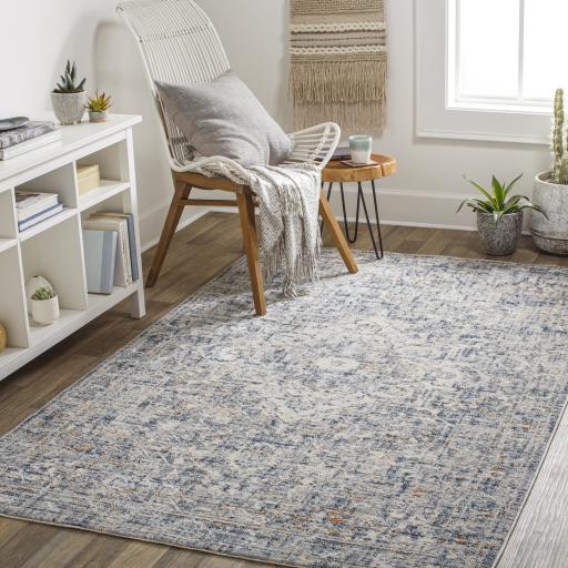 Surya Amore AMO-2326 2'3" x 3'9" Rug