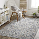 Surya Amore AMO-2326 2'3" x 3'9" Rug