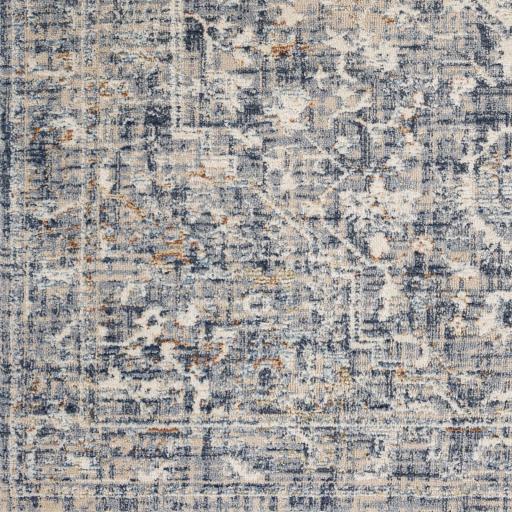 Surya Amore AMO-2326 2'3" x 3'9" Rug