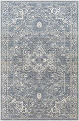 Surya Amore AMO-2327 2' x 3' Rug