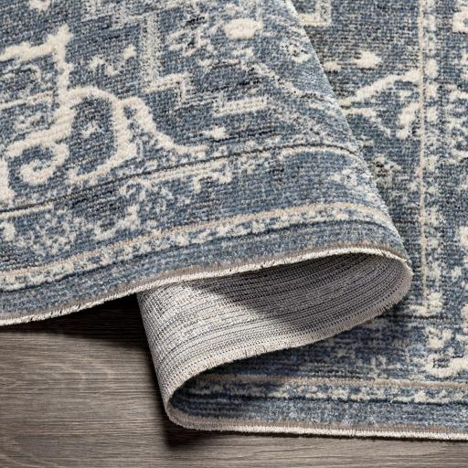 Surya Amore AMO-2327 2'3" x 3'9" Rug