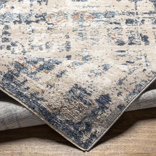 Surya Amore AMO-2336 2'4" x 3'9" Rug