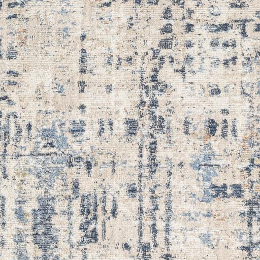 Surya Amore AMO-2336 2'4" x 3'9" Rug