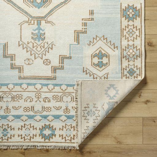 Surya Anadolu AAU-2300 2' x 3' Rug