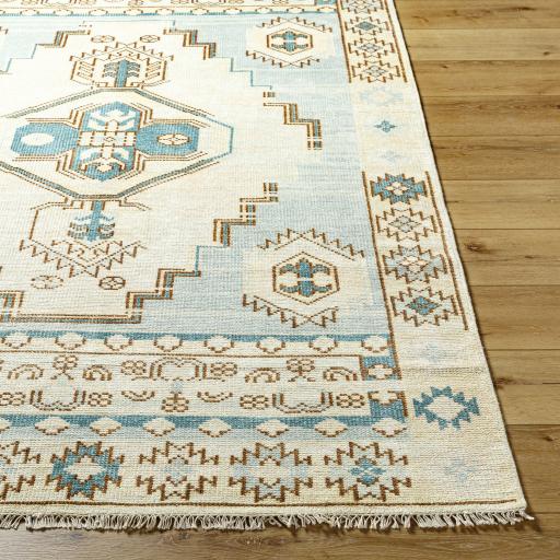 Surya Anadolu AAU-2300 Brown Cream 2'6" x 10' Rug