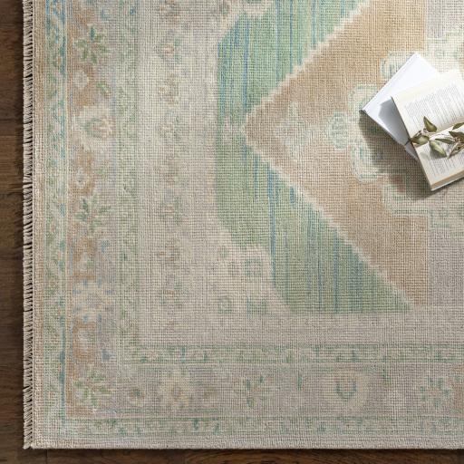 Surya Anadolu AAU-2303 2' x 3' Rug
