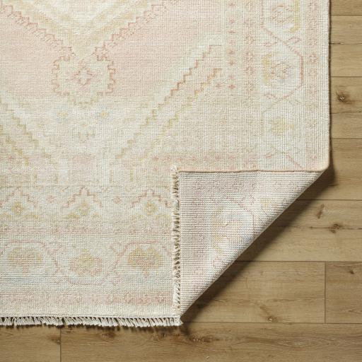 Surya Anadolu AAU-2305 4' x 6' Rug