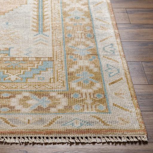 Surya Anadolu AAU-2306 2' x 3' Rug