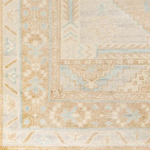 Surya Anadolu AAU-2306 2' x 3' Rug