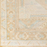 Surya Anadolu AAU-2306 2' x 3' Rug