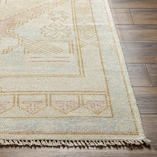 Surya Anadolu AAU-2307 2' x 3' Rug