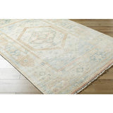 Surya Anadolu AAU-2309 Beige Cream 2' x 3' Rug