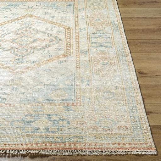 Surya Anadolu AAU-2309 4' x 6' Rug