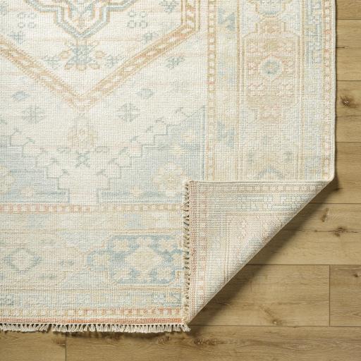 Surya Anadolu AAU-2309 4' x 6' Rug
