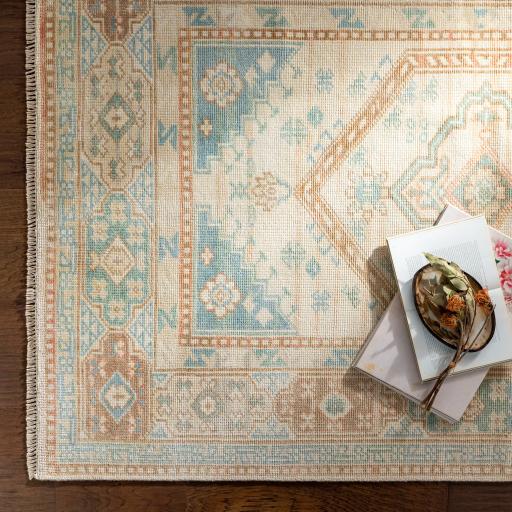 Surya Anadolu AAU-2309 6' x 9' Rug