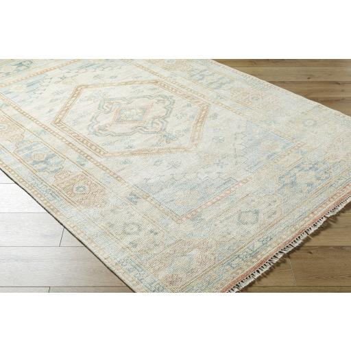 Surya Anadolu AAU-2309 Beige Cream 9' x 12' Rug