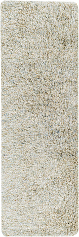 Surya Anaheim AHM-2300 2' x 3' Rug