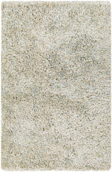 Surya Anaheim AHM-2300 2' x 3' Rug