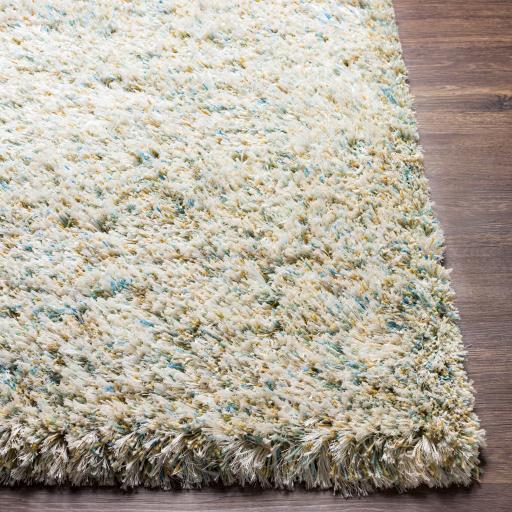 Surya Anaheim AHM-2300 2' x 3' Rug