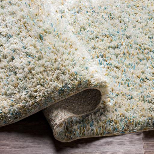Surya Anaheim AHM-2300 2' x 3' Rug