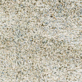 Surya Anaheim AHM-2300 2' x 3' Rug