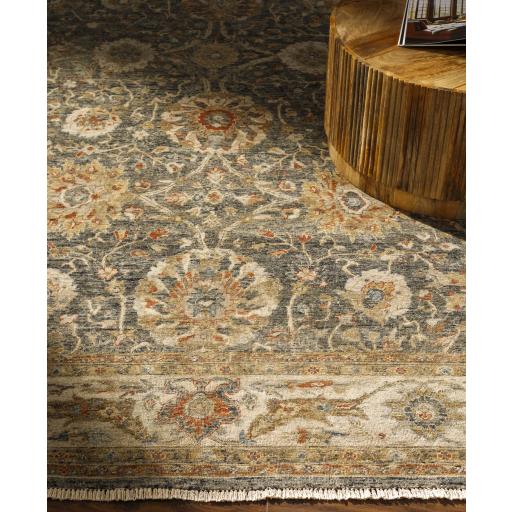 Surya Anatolia ANY-2301 Beige Brick Red 10' x 14' Rug