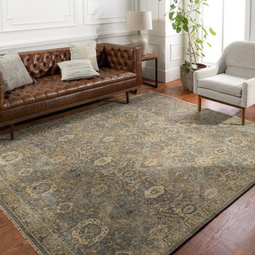 Surya Anatolia ANY-2302 2' x 3' Rug