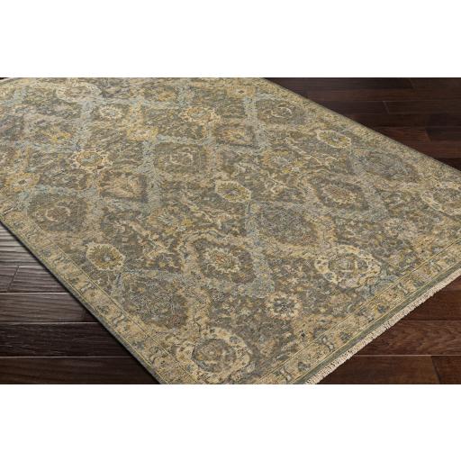 Surya Anatolia ANY-2302 Brown Light Beige 2' x 3' Rug