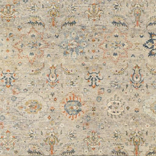 Surya Anatolia ANY-2305 8' x 10' Rug