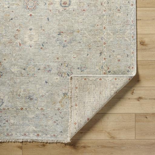 Surya Anatolia ANY-2306 2' x 3' Rug