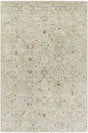 Surya Anatolia ANY-2306 6' x 9' Rug