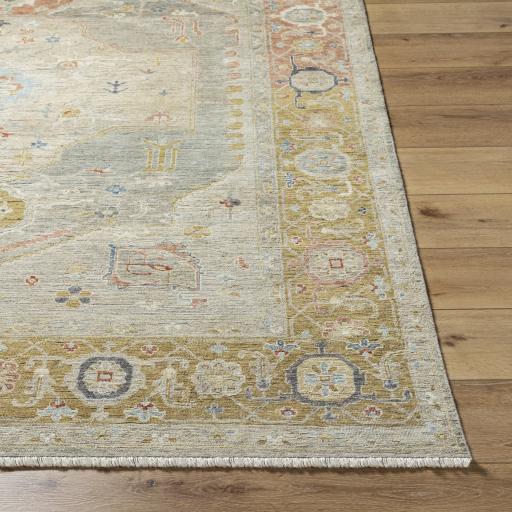 Surya Anatolia ANY-2309 Burgundy Camel 9' x 12' Rug