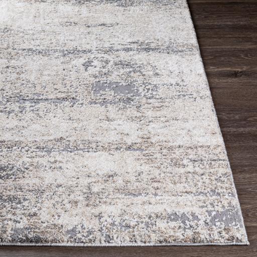 Surya Andorra ARD-2300 5'3" x 7'3" Rug