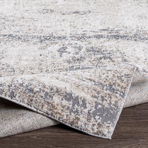 Surya Andorra ARD-2300 5'3" x 7'3" Rug