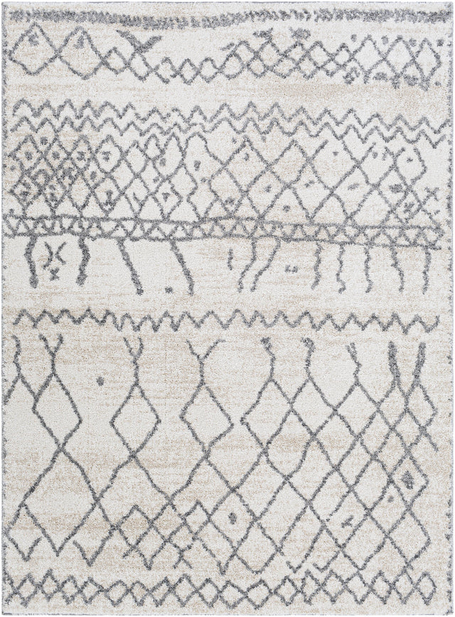 Surya Andorra ARD-2303 2' x 2'11" Rug