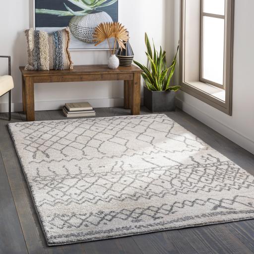Surya Andorra ARD-2303 2' x 2'11" Rug