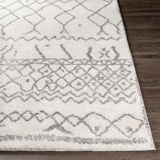 Surya Andorra ARD-2303 Beige Charcoal 2' x 2'11" Rug
