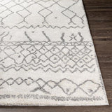 Surya Andorra ARD-2303 2' x 2'11" Rug