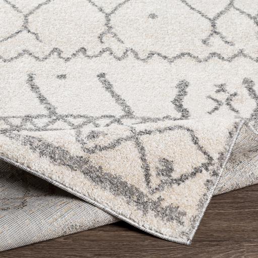 Surya Andorra ARD-2303 2' x 2'11" Rug