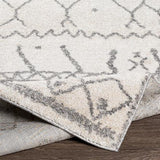 Surya Andorra ARD-2303 2' x 2'11" Rug